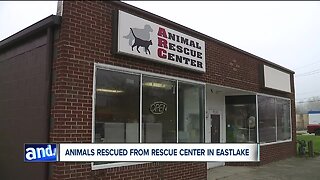 Nearly 100 dogs, cats seized from Eastlake Animal Rescue Center