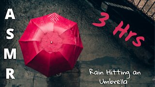 Rain Hitting an Umbrella | Relaxation | 3 Hrs ~ ASMR ~