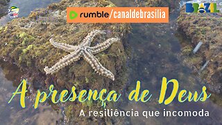 A presença de Deus XXI - A NOSSA resiliência incomoda