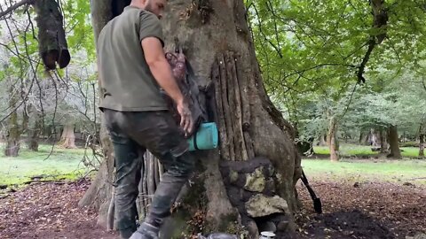 Tree hole shelter/20