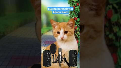 Kucing bershalawat Allahul Kafi #short #kucinglucu #kucingimut
