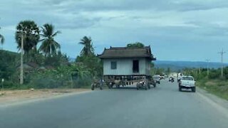 Senhores transportam casa com tractores