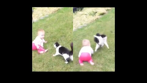 Baby while playing with her cute kitty