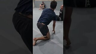 Brazilian Jujitsu In Chiang Mai Thailand 🇹🇭 #shorts #bjj #brazilianjujitsu #Thailand #chiangmai