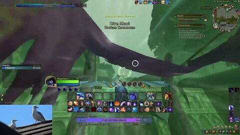 WoW DF:- Dragon Racing Normal - Feralas Ruins Rumble (Gold Attempt)