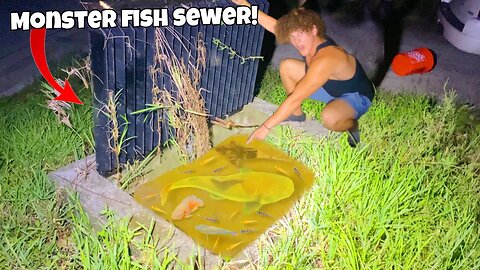 I Caught MONSTER FISH In SEWER Fish TRAP!