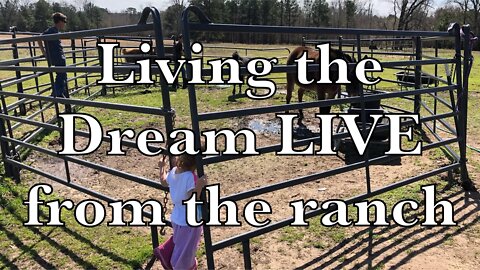 Living the DREAM LIVE at the Ranch