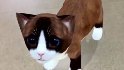 This AR cat is the cutest new thing.