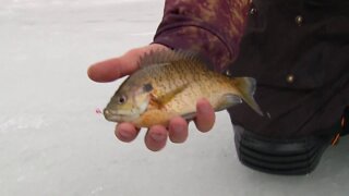 MidWest Outdoors TV Show #1661 - Custom Jigs on late ice in Wisconsin