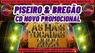 PISEIRO E BREGÃO 2023 CD NOVO PROMOCIONAL 2023 @brasilsertanejando4788​