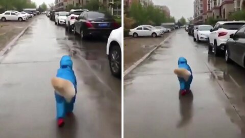 Funny Dog walks during Rain 🤣😂