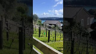 Waiheke Island sea view from hilltop