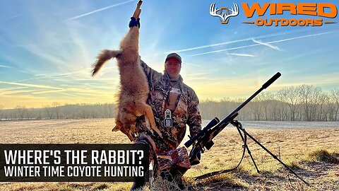 Where's The Rabbit? - Winter Time Coyote Hunting