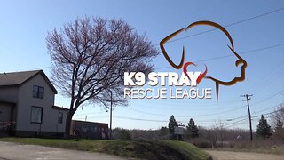 K9 Stray Rescue League's Dine To Donate Promo