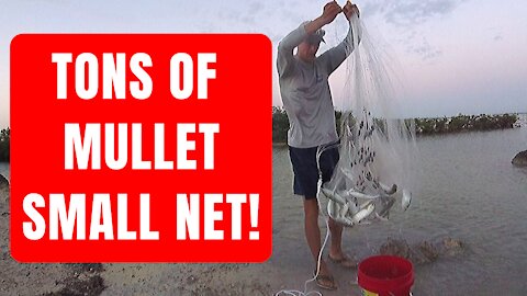 How to Catch Mullet With a Cast Net