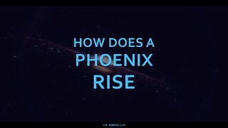 How does a phoenix rise