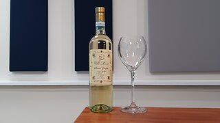 Pinot Grigio from Italy and Dad Jokes | DWR-226