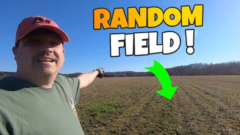 What will we find metal detecting a random cotton field?