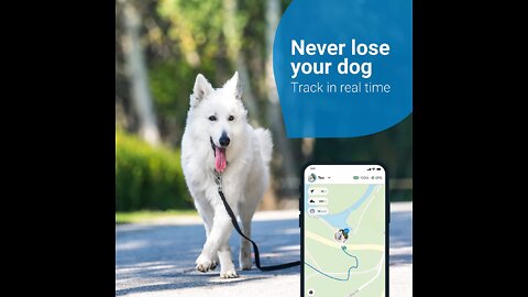 Never lose your dog Track in Real time