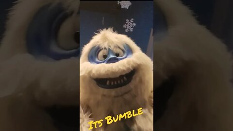 Bumble...It's Bumble | SeaWorld Orlando Christmas Celebration 2022