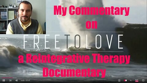 "Free to Love" Documentary on Reintegrative Therapy: My Commentary