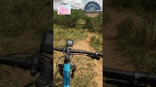 E esse down hill? Trilhas da Barragem do Goitá - BIKES E TRILHAS #shorts #bike #trilha #mtb