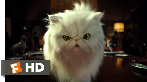 Cats _ Dogs (2_10) Movie CLIP - Mr. Tinkles (2001)