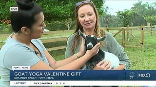 Goat Yoga Valentine's Day gift