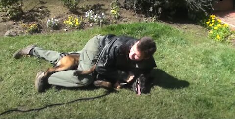How To Defend Against An Agressive dog. Self Defense Against Dog Attack. Do Not Panic