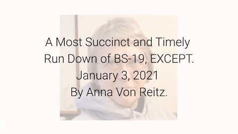 A Most Succinct and Timely Run Down of BS-19, EXCEPT..... January 3, 2021 By Anna Von Reitz