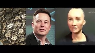 Did Elon Musk Invent Bitcoin under Pseudonym Satoshi Nakamoto?