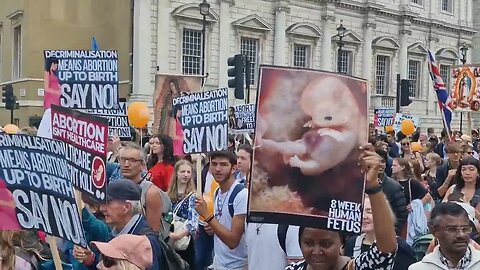 Pro life demonstration cause horse to back out of the box #horseguardsparade