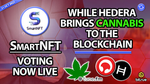 SmartNFT VOTING NOW LIVE WHILE HEDERA BRINGS CANNABIS TO THE BLOCKCHAIN!