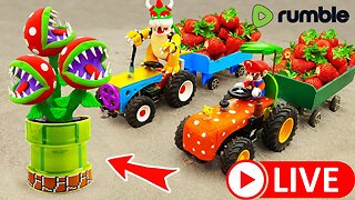 🚜 Mini Tractor Transporting Mario and Luigi | Super Mario Brothers Cartoon | Mario Animation 🍄🎬