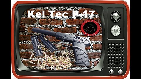 Kel Tec P-17