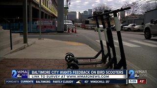 Baltimore City Wants Feedback on Bird Scooters