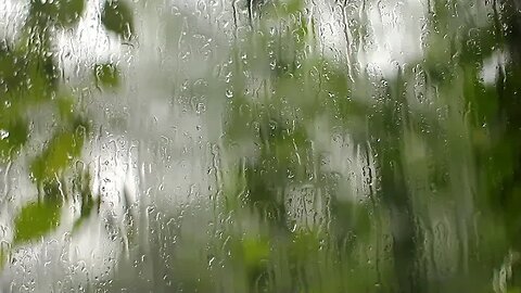 Soothing Rain Sounds | Rainy Day Ambience for Sleep | Rain on Window