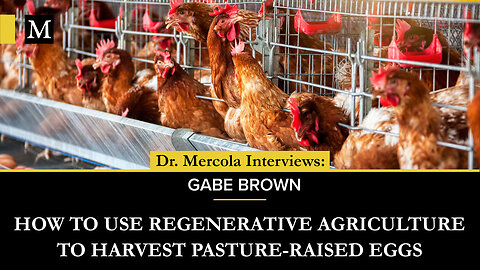 How to Use Regenerative Agriculture to Harvest Pasture-Raised Eggs - Interview with Gabe Brown