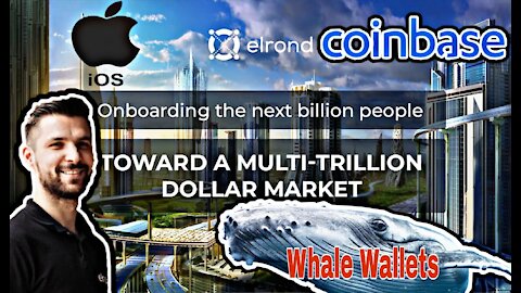 Beniamin Mincu interview, Elrond, EGLD, Apple, Coinbase, whale wallets, Maiar card