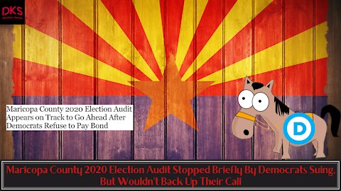 Maricopa County 2020 Election Audit Stopped Briefly By Democrats Suing, But Wouldn't Back It Up