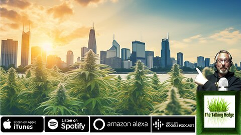 The Illinois Cannabis Market: A Deep Dive