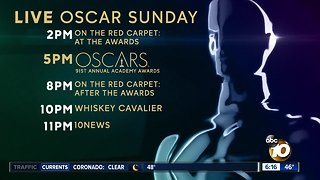 91st Academy Awards: A complete viewing guide to tonight's Oscars