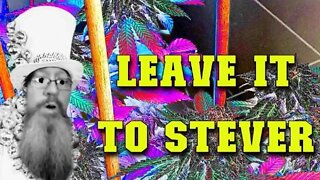 Leave it to Stevers. bandLab help and Tutorial jams
