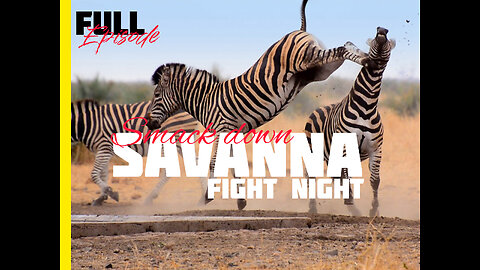 Savanna Smackdown (Full Episode) | Animal Fight Night