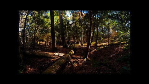 Caddx Peanut Initial Flight on Cine8