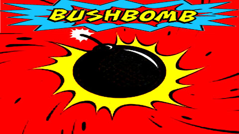 Bushbomb - "Cannonball" - Music Video [Audio]