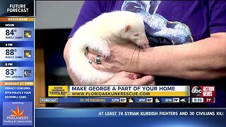 Rescues in Action Oct. 13 | Cuddle up with George