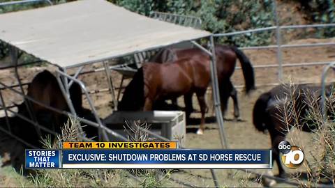 TEAM 10: Shutdown problems at HiCaliber Horse Rescue