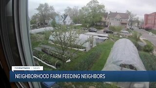 Their continued success proves that "5 Loaves Farm" is a good neighbor in this West Side community