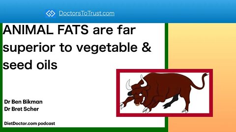 ANIMAL FATS: superior to vegetable & seed oils [republished edit with spelling error corrected]